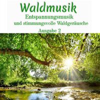 Waldgeräusche - Waldmusik - Entspannungsmusik und stimmungsvolle Waldgeräusche, Ausgabe 2