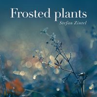 Stefan Zintel - Frosted Plants (For Meditation, Relaxation and Sleep)