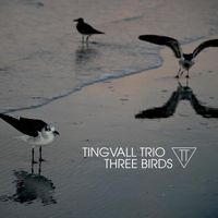 Tingvall Trio - Humming Bird (Rhodes Version)