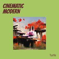 Turtle - Cinematic Modern