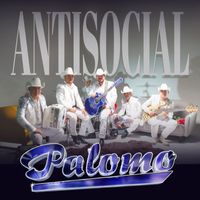 Palomo - Antisocial