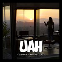 Mellow - UAH