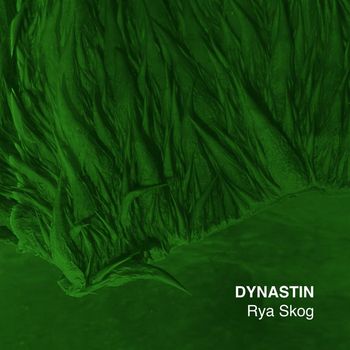 DYNASTIN - Rya Skog