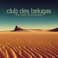 Club Des Belugas - The Oasis of Araouane