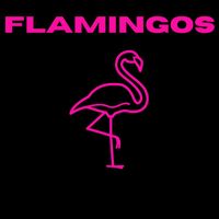 Flamingos - Turks & Caicos (Explicit)