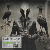 David Mallada - Why Cant Be You