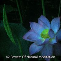 Brain Study Music Guys - 42 Powers Of Natural Meditation