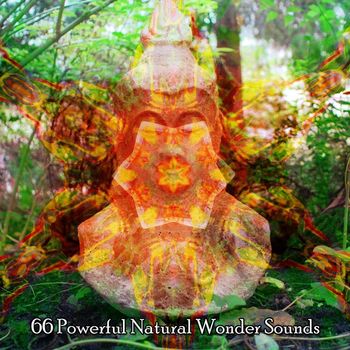 Forest Sounds - 66 Powerful Natural Wonder Sounds
