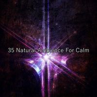 Yoga - 35 Natural Ambience For Calm