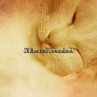 Baby Lullaby - 31 Encased Dreamland