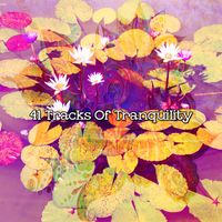 Zen Meditation and Natural White Noise and New Age Deep Massage - 41 Tracks Of Tranquility
