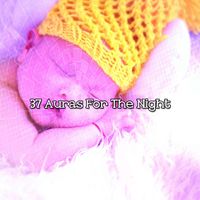 Spa - 37 Auras For The Night