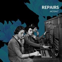 Repairs - Mosaic