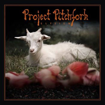Project Pitchfork - Der Tanz