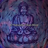 Meditation Spa - 47 Naturally Clean Mind