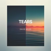 David Milles - Tears