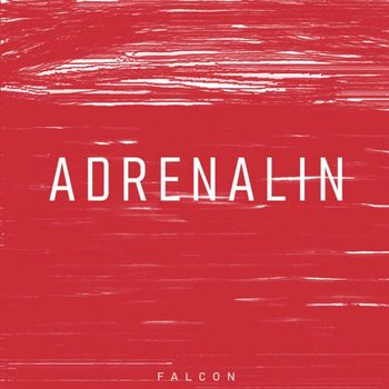 Falcon & Louis Maziul - Adrenalin