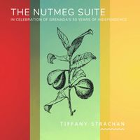 Budapest Art Orchestra - The Nutmeg Suite