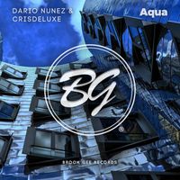 Dario Nunez - Aqua