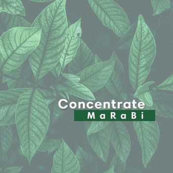 MaRaBi - Concentrate