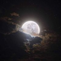 Ikari - 2themoon (Explicit)