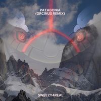 SWEEZY4REAL - PATAGONIA (ORCINUS Remix)