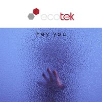 Ecotek - Ecotek  Hey You Cub Mix
