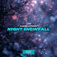 Aleksey Litunov - Night Snowfall