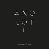 Marble Sounds - Axolotl
