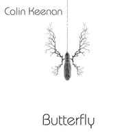 Colin Keenan - Butterfly