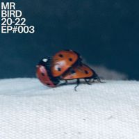 Mr Bird - Bird Beats 20-22 #EP003