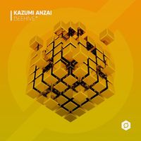 Kazumi Anzai - Beehive