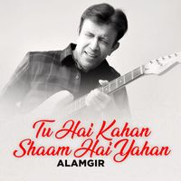 Alamgir - Tu Hai Kahan Shaam Hai Yahan
