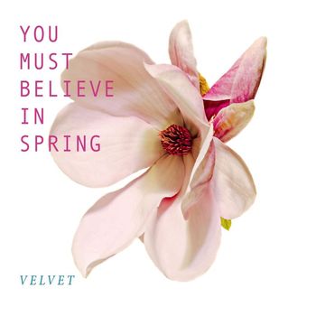 Velvet - You Must Believe in Spring