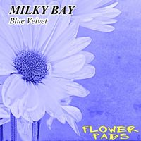 Milky Bay - Blue Velvet