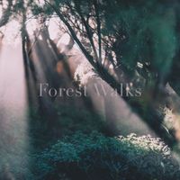 Forest Walks - Ray of Dreams