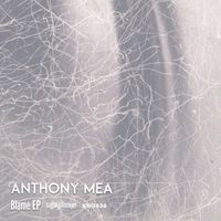 Anthony Mea - Blame EP