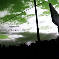 Fellirium - Under The Green Sky