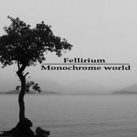 Fellirium - Monochrome World