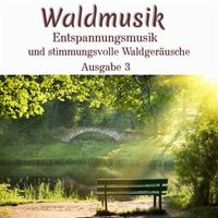 Waldgeräusche - Waldmusik - Entspannungsmusik und stimmungsvolle Waldgeräusche, Ausgabe 3