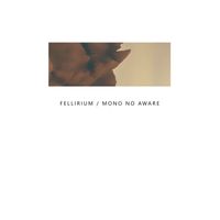 Fellirium - Mono No Aware
