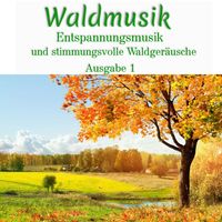 Waldgeräusche - Waldmusik - Entspannungsmusik und stimmungsvolle Waldgeräusche, Ausgabe 1