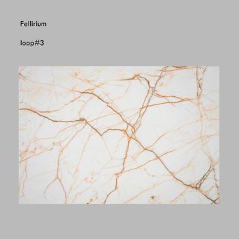 Fellirium - loop#3