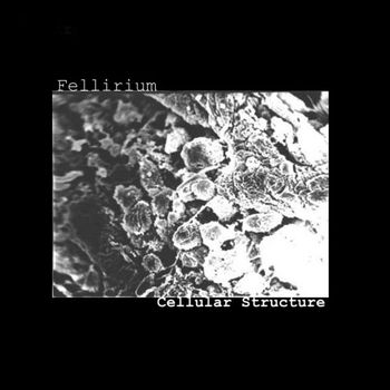 Fellirium - Cellular Structure