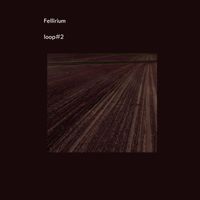 Fellirium - loop#2