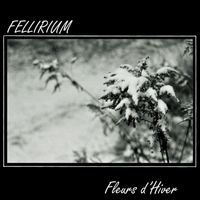 Fellirium - Fleurs d'Hiver