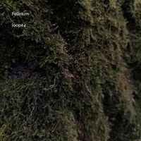 Fellirium - loop#4