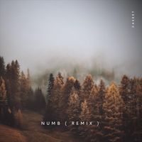Caseet - Numb (Caseet Remix) (Explicit)