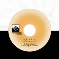 Dolphin - Street Angel