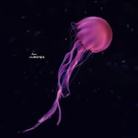 Flowers on Monday - Horizons